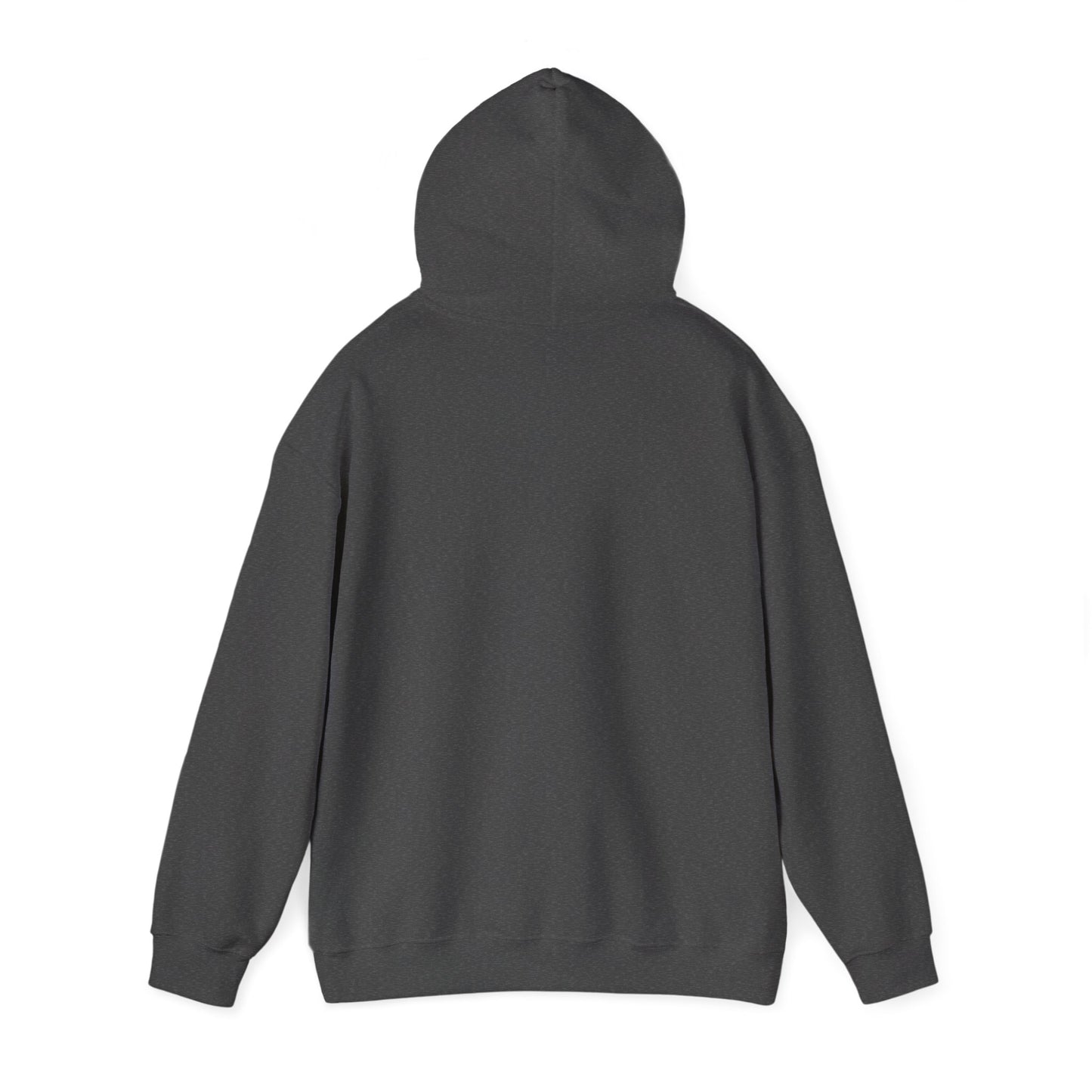 Stylish Streetwear Hooded Sweatshirt, Unisex Fashion, Cozy Layering, Gift for Him/Her, Casual Style, Trendy Outfit